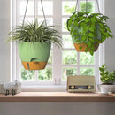 ZMTECH 12 Inch Hanging Planters for Indoor Outdoor Plants, 2 Pack Self Watering Hanging Plant Pots with Drainage Hole, Visual Reservoir, Plastic Flower Hanging Pots with Watering Lip (Green) by GreenHaven Gardens