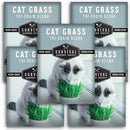 Cat Grass Seed for Planting - 5 Packets with Instructions to Plant & Grow Greens for Your Pet Indoors or Outdoors in a Container or Garden - Non-GMO Heirloom Variety - Survival Garden Seeds by GreenHaven Gardens