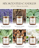 AOOVOO Candles Set - 6PC Scented Candles, Soy Candle, Aromatherapy Candle, Soy Wax Candle, Candle for Home Scented, Lavender/Vanilla/Eucalyptus/Sage/Jasmine/Sandalwood by CozyNest Decor
