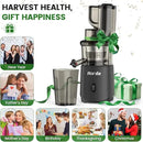 Slow Masticating Cold Press Juicer: Cold Pressed Juicer Machines For Vegetable And Fruit 200W, Matte Grey by CozyNest Decor