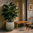 Worth Garden Large Grey Round Planter – 14.5" Dia x 17.5" H Lightweight Magnesium Oxide Cement Plant Pot with Texture – Raised Pattern Concrete Look – Drainage Hole – Indoor & Outdoor Use by CozyNest Decor