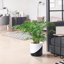 D'vine Dev 12 Inch Ceramic Planter Pot with Drainage Hole and Saucer, Indoor Cylinder Round Planter Pot, Oblique Monochrome Black and White, 94-O-F-K by GreenHaven Gardens