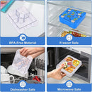 Bento Lunch Box Set With 10oz Soup Thermo, Leak-proof Lunch Containers with 4 Compartment, Kids Hot Thermo Food Jar/Insulation Lunch Bag, Food Containers for School（Dinosaur） by TinyTreasures Baby Boutique
