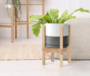 D'vine Dev Ceramic Planter with Natural Stand - 8 Inch Modern Round Flower Pot with Wood Planter Holder, White/Grey, 55-B-N-6 by CozyNest Decor