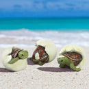 Design Toscano QM2562500 Out of the Shell Baby Turtle Triplet Statues,Full Color by GreenHaven Gardens