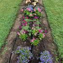 Watex Home Irrigation, Soaker Hose, 50 ft. Weeping hose, water-efficient irrigation, saving water by 60% by GreenHaven Gardens