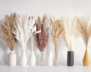 128 PCS Dried Pampas Grass Bouquet, Boho Table Decor, Bunny Tails Dried Flowers, Brown Pampas, White Pampas Grass for Weddings, Home Decor, Rustic Parties, and Baby Shower Decorations by CozyNest Decor