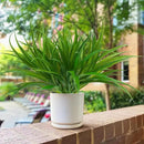 32 Pcs Artificial Grass Fake Plants 17.3in Outdoor Plants UV Resistant Faux Greenery Stems Fake Grass for Home Window Garden Office Patio Pathway Front Porch Halloween Décor Green by GreenHaven Gardens