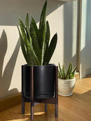 D'vine Dev Ceramic Planter with Walnut Color Stand - 10 Inch Modern Round Flower Pot with Wood Planter Holder, Black, 55-B-X-2 by CozyNest Decor