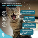 Cat Bad Breath & Oral Health Remedy, Natural Dental Care Cats Teeth, Mouth and Gums, Easy to Use Daily Supplement for Stomatitis, Gingivitis, Plaque & Tartar Control for Cats, 800 Small Pills by CozyNest Decor