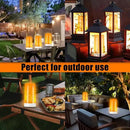 Bestview LED Flame Lights with Remote & Timer,4 Modes USB Rechargeable Battery Operated Fire Flickering Flameless Candles Campfire Table Lamp for Halloween,Christmas,Indoor&Outdoor Decoration (2 Pack) by GreenHaven Gardens