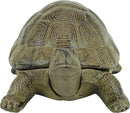 Design Toscano Aesop's Turtle Ornament Garden Tortoise Animal Statue, 10 Inches Wide, Cast Iron, Verdigris Finish by GreenHaven Gardens