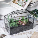 NCYP Glass Terrarium Planter with Lid for Small Succulent Cacti, Grid House Shape Black Geometric Terrarium Pot, Home Garden Indoor Tabletop Decor, 9.84" x 5.31" x 7.87" (No Plants) by CozyNest Decor