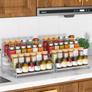 RCHYFEED 4 Tier Spice Rack Organizer, Spice Organization for Cabinet,Pantry, Countertop,Tiered Spice Rack Easy Visibility,Depth Expandable Seasoning Shelf for Kitchen Cabinet Organizer,Silver,2 PACK by CozyNest Decor