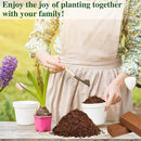 ZeeDix 5 Pack Premium Coco Coir Brick, Organic Compressed Coconut Coir Bricks Seed Starter Potting Soil for Plants, Coconut Fiber Substrate with Low EC & pH Balance for Gardening Flower Herbs by GreenHaven Gardens