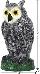 Galashield Owl Decoy | Plastic Owls to Scare Birds Away | Owl Statue for Garden & Outdoors - Pack of 3 by GreenHaven Gardens