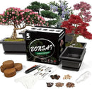 Bonsai Starter Kit, 5 Seeds Growing into Acacia, Wisteria, Sakura, Red Maple and Black Pine, Including Complete Gardening Tools with A Gift Box, Christmas Gifts for Men Women Beginners by GreenHaven Gardens