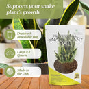 Professional Snake Plant Soil | Large 2.2 Quarts Ready to Use for Snake Plants | Peat Moss, Coco Coir, Perlite, Dolomite | Made in USA by GreenHaven Gardens