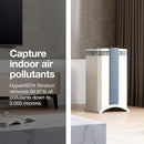 IQAir GC MultiGas XE Air Purifier- 2-Pack – Smart MultiGas Filtration for Rooms up to 2250 sq ft - Chemicals, Odors, VOCs, and Particles, Swiss Made, WiFi Enabled by TinyTreasures Baby Boutique