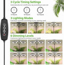 LORDEM Grow Light for Indoor Plants, 7.9" Diameter Tri-Head Plant Light for Plants Growing, Full Spectrum Growth Lamp with Auto Timer 3/6/12H, 4 Dimmable Levels, 3 Lighting Modes, Adjustable Stand by GreenHaven Gardens