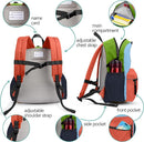Toddler Backpack for Boys 2-5: Preschool Kindergarten Backpack - 13"" Daycare Backpack Fit A4 Folder, Medium by TinyTreasures Baby Boutique