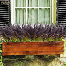 6Pcs Artificial Grass Fake Grass Plants 17.3in Outdoor Plants UV Resistant Faux Greenery Stems for Home Window Garden Office Patio Pathway Front Porch Halloween Décor Light Green & Purple by GreenHaven Gardens