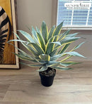 SUNPRAIRIE 32 Inch Tall Large Faux Agave Plant with Two-Tone Sawtooth Edged Leaves; Planted in Black Pot with Real Stone Pebbles. Large Artificial Plants Indoor and Outdoor. by GreenHaven Gardens