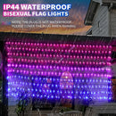 RJZZ Bisexual Flag Lights Outdoor, 6.6x3.3 FT Pride Decorations Connectable, 330LED Waterproof Bi Flag With Lights for Wall, Room, Yard, Party, Office by GreenHaven Gardens
