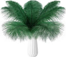 THARAHT 24pcs Ostrich Feathers Natural Bulk 10-12Inch 25cm-30cm for Wedding Party Centerpieces Easter Gatsby Flower Arrangement and Home Decorate Ostrich Feathers,Cyan by CozyNest Decor