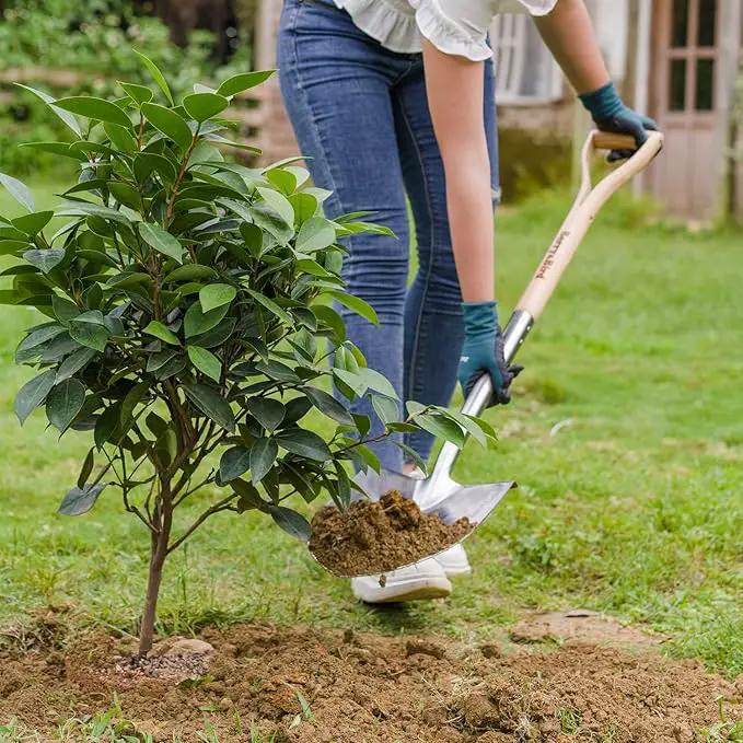 Berry&Bird Round Point Gardening Shovel with Wood D-Handle, 40.98" Stainless Steel Beach & Snow Shovel, photo 7 of 8