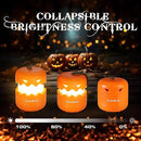 EverBrite 3-Pack Halloween Pumpkin Lantern & 3-Pack Halloween Hanging Ghost Lights by GreenHaven Gardens