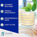 Evviva Sciences Microbiology Science Project Kit, Pre-Poured Agar Plates for Students, Agar Petri Dishes to Learn Microbiology, with Educational Experiment eBook by TinyTreasures Baby Boutique