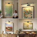 Dimmable Black Picture Lights with Remote and Timer Wireless Art Lights Rechargeable Gallery Lighting for Canvas Portrait 24'' Inch 5W Warm White by CozyNest Decor