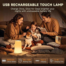 Night Light for Baby Nursery, 13 Colors Changing Touch Dimmable Night Lamp with Timer, Rechargeable Kids Night Light Portable for Bedtime Routine Baby Breastfeeding by TinyTreasures Baby Boutique