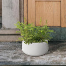 Kante 19.6" Dia Round Concrete Planter, Outdoor Indoor Garden Plant Pots with Drainage Hole and Rubber Plug, Modern Curvaceous Design, Pure White by GreenHaven Gardens