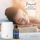 Robbers' Immunity Essential Oil Blend 30 ml - Immune Boost Aromatherapy for Diffusers - Natural Shield Against Impurities - Nexon Botanics by CozyNest Decor