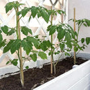 Plant Stakes,18 Inches Natural Garden Bamboo Sticks,BOVITRO 20Pcs Plant Support Stakes for Tomatoes,Beans,Vegetable and Potted Plants by GreenHaven Gardens