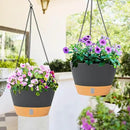 QCQHDU 2 Pack Hanging Planters for Indoor Outdoor Plants, 8 Inch Hanging Baskets Flower Pots with Reservoir Tray & Visible Water-Level by GreenHaven Gardens