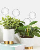 DN DECONATION 4 Pcs Plant Watering Globes, Clear Glass Watering Bulb, Watering Bulbs for Indoor Plants & Outdoor Plants, Automatic Plant Watering System to Support Plant Health, Striped Water Globes by GreenHaven Gardens