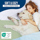 Utopia Bedding Waterproof Mattress Protector Queen Size, Premium Terry Mattress Cover 200 GSM, Breathable, Fitted Style with Stretchable Pockets (Sage) by TinyTreasures Baby Boutique