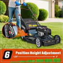 SENIX Gas Lawn Mower, 22" Self Propelled Gas Powered Lawnmower with 163cc B&S 4-Cycle Engine, 3-in-1 Walk-Behind Push Lawn Mower, 6-Position Height Adjustment by GreenHaven Gardens