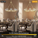 Gold Wagon Wheel Chandelier, 36 Inch Brass Chandeliers with Unique Glass Shade, 9-Light Crystal Farmhouse Wagon Wheel Chandeliers for Dining Room, Round Chandelier for Living Room, Foyer, Entryway by CozyNest Decor