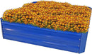 Sunnydaze Galvanized Raised Garden Bed - Metal Raised Bed for Gardening - Outdoor Planter Box for Flowers, Plants, and Vegetables - Blue - 12” H Square by GreenHaven Gardens