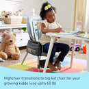 Graco Made2Grow 5-in-1 Convertible Highchair, Adjustable Baby to Toddler Seat, Hudson by TinyTreasures Baby Boutique