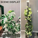 4 Pcs 17 Inch Plastic Moss Pole for Plants Monstera, Stackable Plant Support for Indoor Climbing Plants, Clear Plant Poles with 2pcs Garden Ties Work with Sphagnum Moss by GreenHaven Gardens