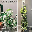 2 Pcs 17 Inch Clear Plastic Moss Pole for Plants Monstera, Designed Specifically for Climbing Plants, Stackable Plant Support for Indoor Plants Work with Sphagnum Moss by GreenHaven Gardens
