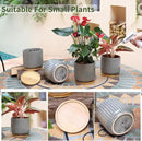 TAMAYKIM 5.25 Inch Ceramic Plant Pots with Drainage Holes and Saucers, Modern Flower Pots with Trays for Indoor Planters, Snake Plant, Succulent, Cactus and Herbs, Set of 4 by CozyNest Decor