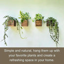 LaLaGreen Indoor Planter Box for Plants (12 Pack, 4x4 Inch) Small Square Wooden Wall Mounted Planters Wood Window Boxes Hanging Flower Pot Plant Holder Outdoor Herb Modern Vertical Garden Home Decor by GreenHaven Gardens