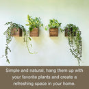 LaLaGreen Wood Planter Boxes for Plants (8 Pack, 4x4 Inch) Small Square Wall Mounted Planters for Indoor Plant, Herb Wooden Box Hanging Flower Pot Plant Holder Outdoor Fence Vertical Garden Home Decor