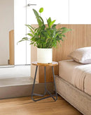 Indoor Plant Stand,Mid Century Wood Stand Plant Table,Modern Plant Stool for Outdoor,Metal Tall Holder for Flower Pots,Small Round Side End Table (Rustic Brown, 19 inch)